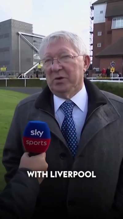 Even Fergie knows what we think of Tottenham 