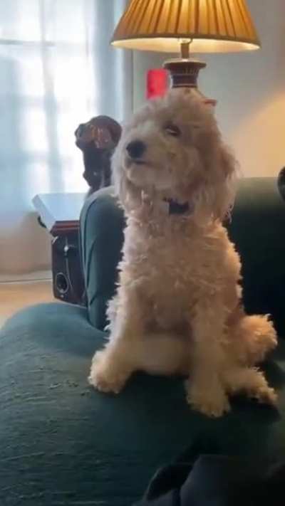 Blursed excitement