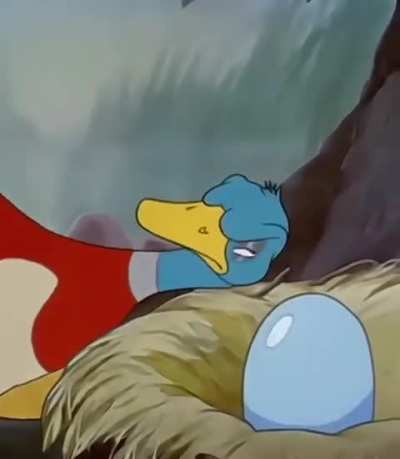 4 ducklings and…