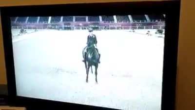 Billie Dressage is not my lover