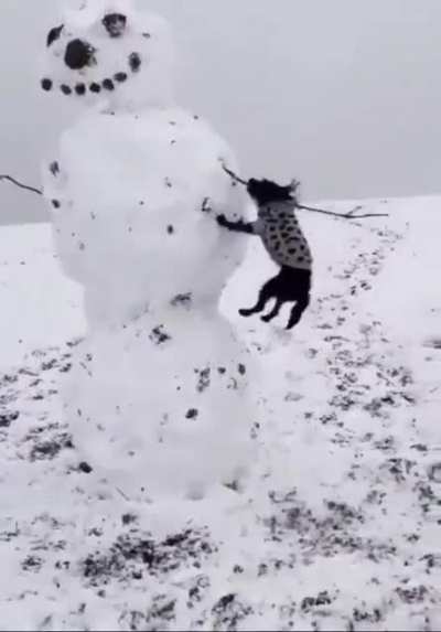 Maybe Maybe Maybe