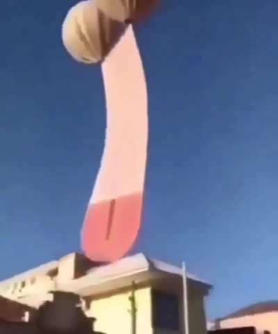 Se le fue la pija.