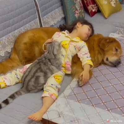 Pile of cuteness
