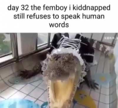 :3