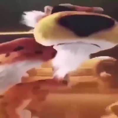 Day 52 of posting this until I get ternion all powerful