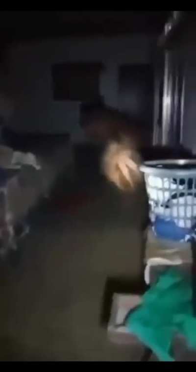 Ay no ese voidmeme si que aterroriz&oacute; yo mejor me void 👀👀😨👻