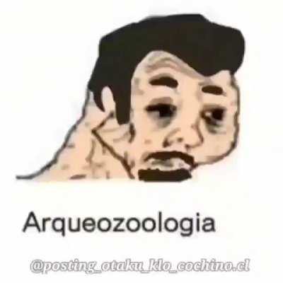 XD