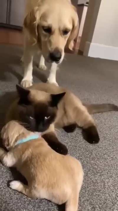 Mama says "this is my child now"
