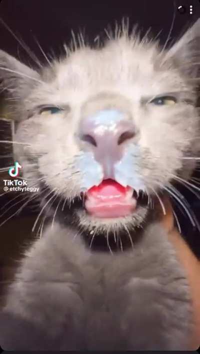 Ehhhhh