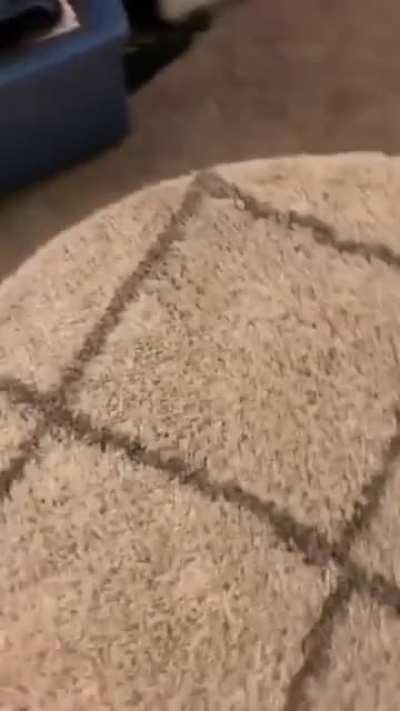 Surprise surprise!