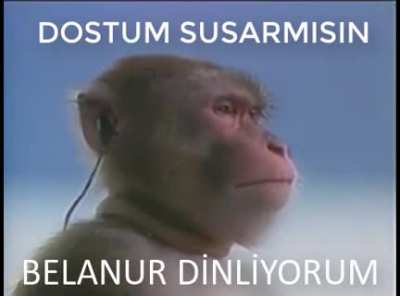 kaldırıldığı i&ccedil;in tekrar y&uuml;kledim