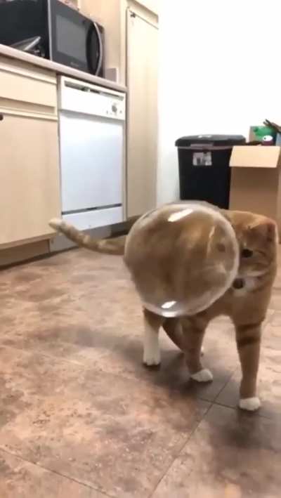 Where did it go?