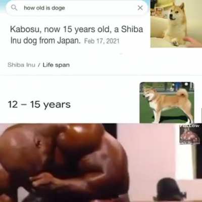 NOOOOOO 🥺💔