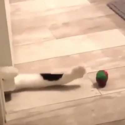 Cat logic