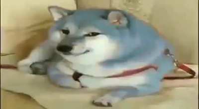 blue