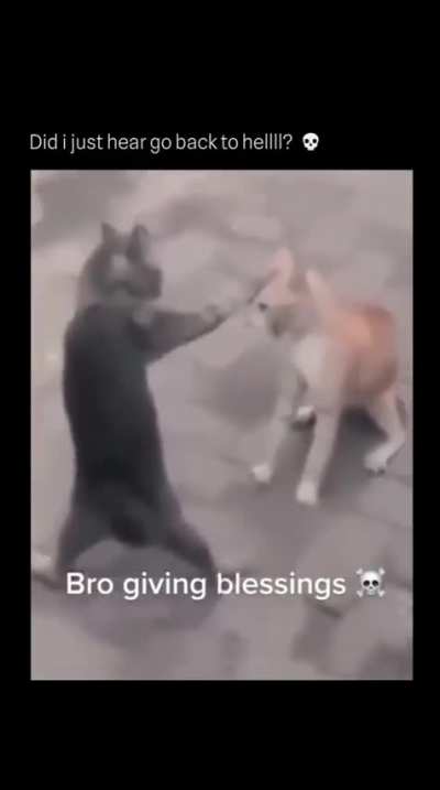 Possessed wunk