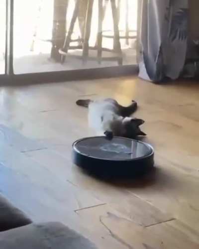 I command you to carry me !!