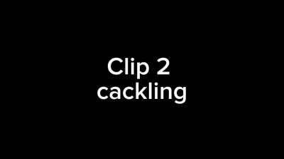 (Audio only) People said they wanted audio of the things I heard on Roblox, so here. (I cut out the parts where I was speaking)