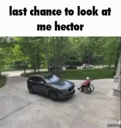 last chance to look at me Hector
