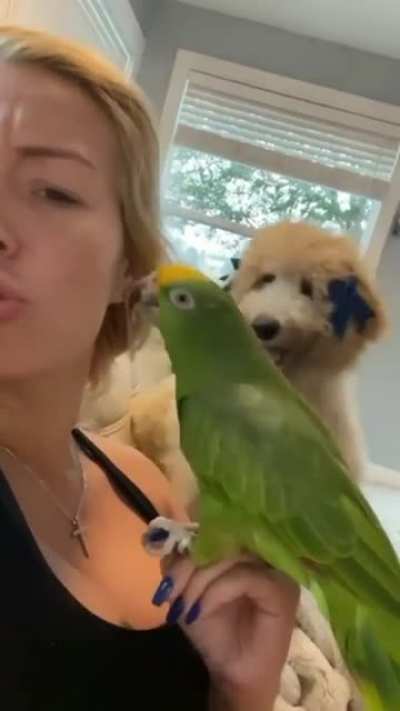 Squawk!