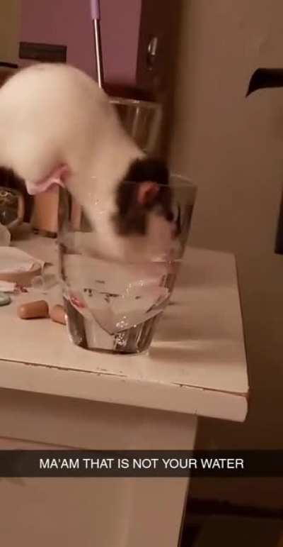 Such balance