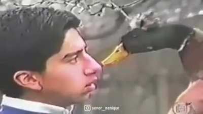 Duck tamer