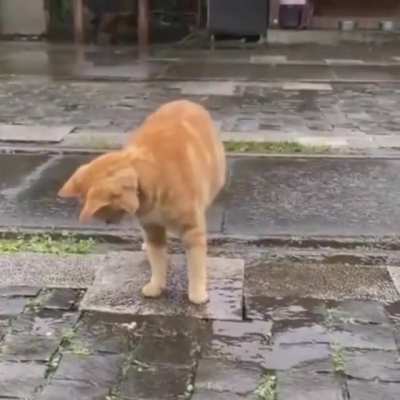 Rainy day.. 😊