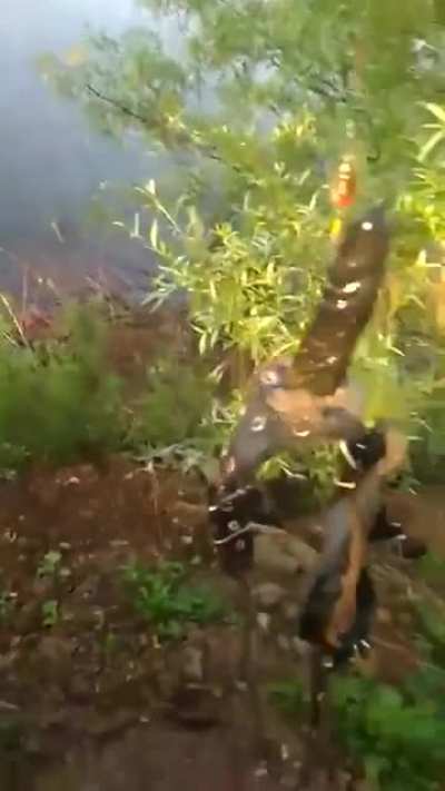 Так себе улов