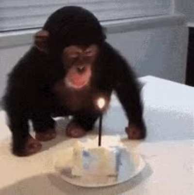 Hey, Monkes, it&rsquo;s my cake day!