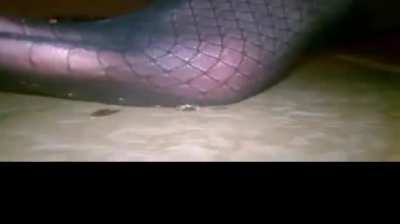 barefoot nylon