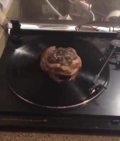 spinning frog