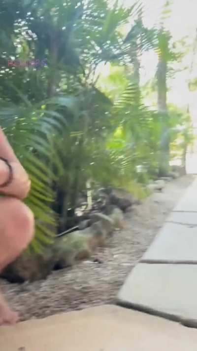 Pee