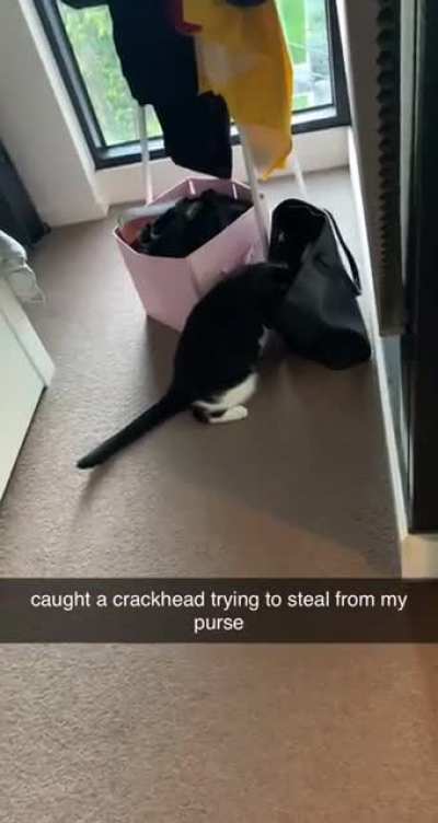 can&rsquo;t trust anyone