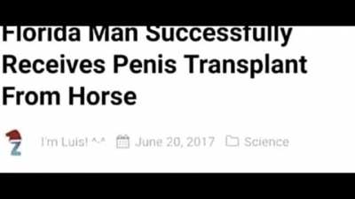 hell yeah florida