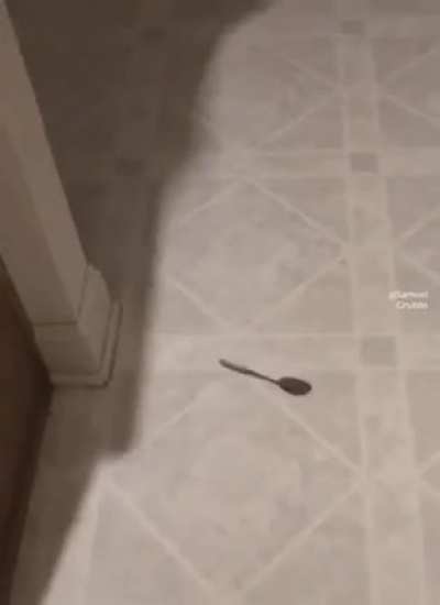 God I hate spoons