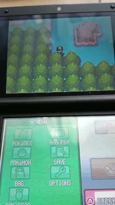 Is this a glitch in HG/SS?