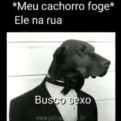 3.a 1 chesela