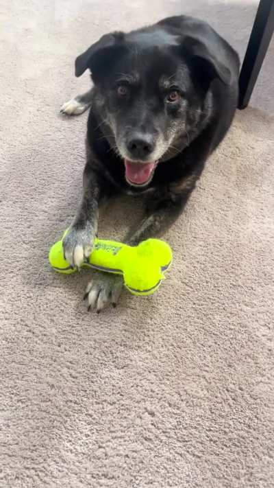she&rsquo;ll bring her toys over to me, but she won&rsquo;t actually give them to me