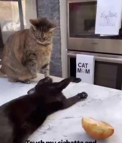 My two states of mind in one video