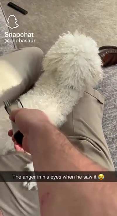Get off me human!!
