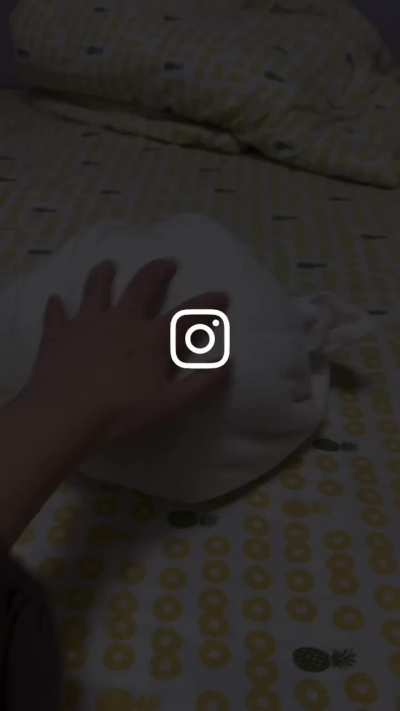 The cat ball it gives +5 happines for only 200 rubys