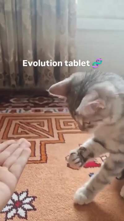 BEHOLD!!!! A MAN!!!