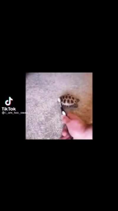 Test video