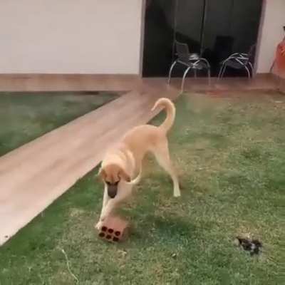 So cute