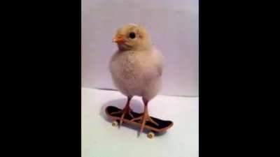 homenagem pinto de skate