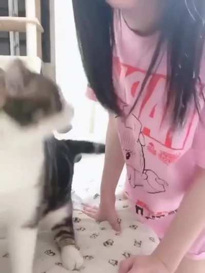 Don't make cat angry.