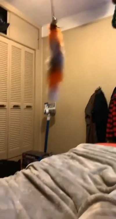 That jumpscared me ngl