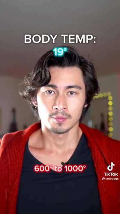 If the word cringe was a live-action anime