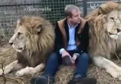 Even the lions don&rsquo;t mess with Russians