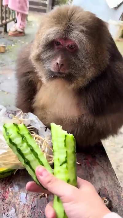 Remember to eat your greens!